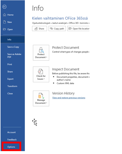 Wordin sivuvalikon options-painike.