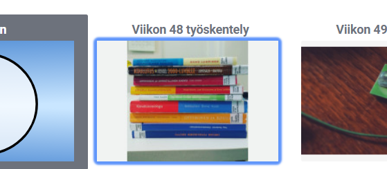 Moodle, korostettu osio, jonka ympärillä on sinistä.