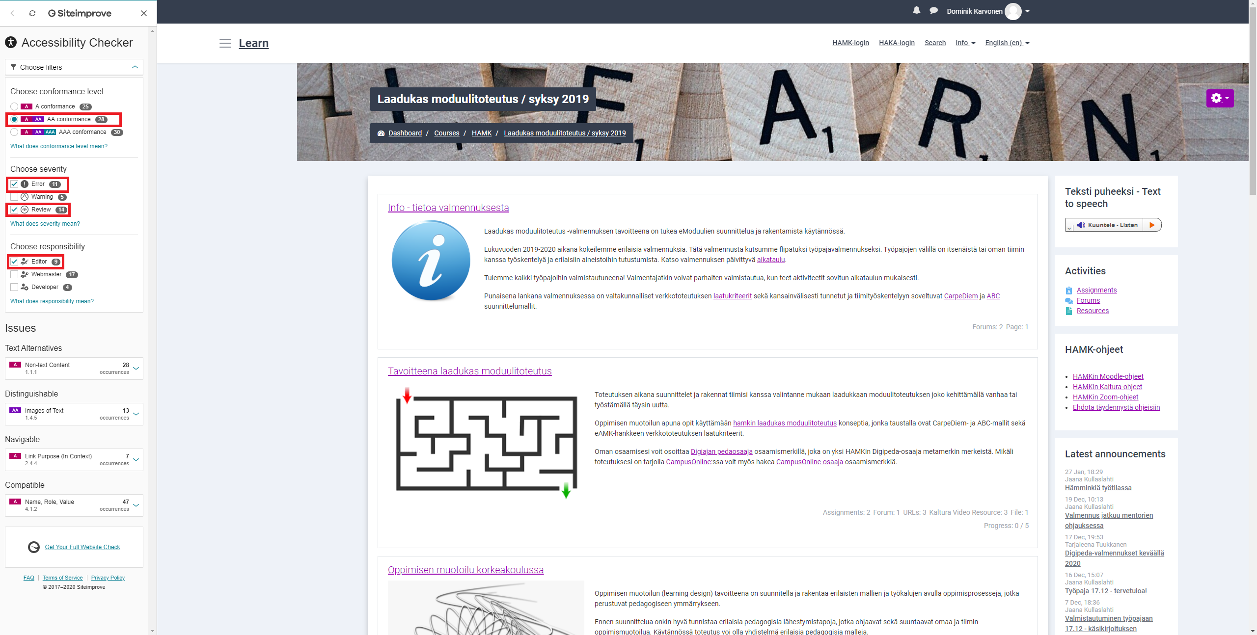 Accessibility Checker in use on the Moodle page. AA conformance is used as filters. Error and Review are selected for Severity. Editor is selected for Responsibility.