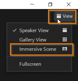 Zoom Immersive View