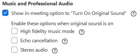 zoom hifi audio settings