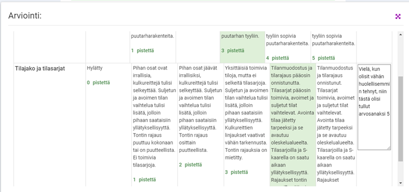 Arviointimatriisin näkymä, kun osaamistasot on valittu ja lisätty vielä lisäkommentti